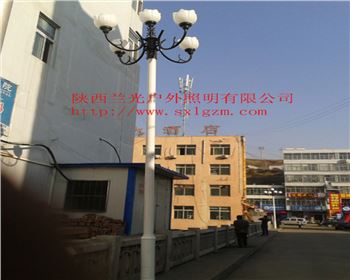 甘肅中華燈-陜北道路照明項目